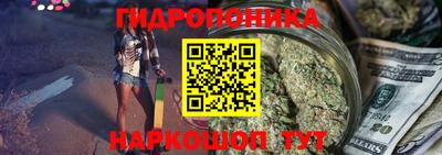 Альфа ПВП Будённовск