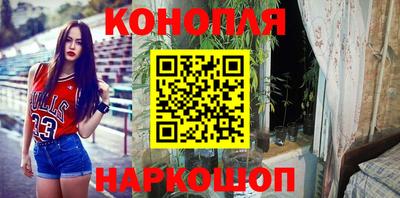 Альфа ПВП Будённовск