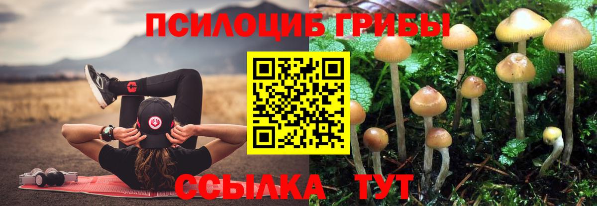 Галлюциногенные грибы MAGIC MUSHROOMS  Вход с VPN  Псилоцибиновые грибы GOLDEN TEACHER  Полевской 