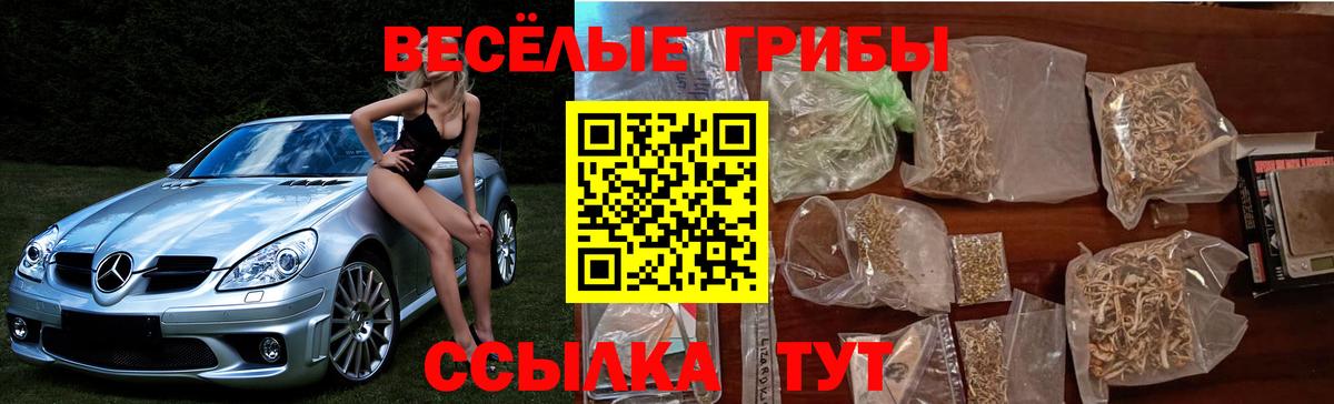 Галлюциногенные грибы Psilocybe Полевской